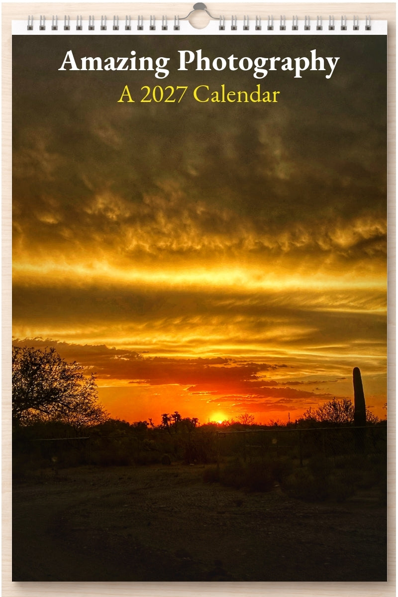 Amazing Photography: A 2027 Calendar