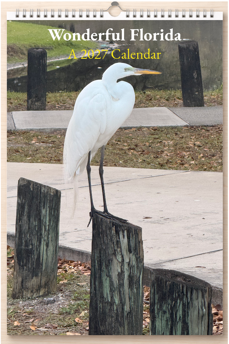 Wonderful Florida: A 2027 Calendar
