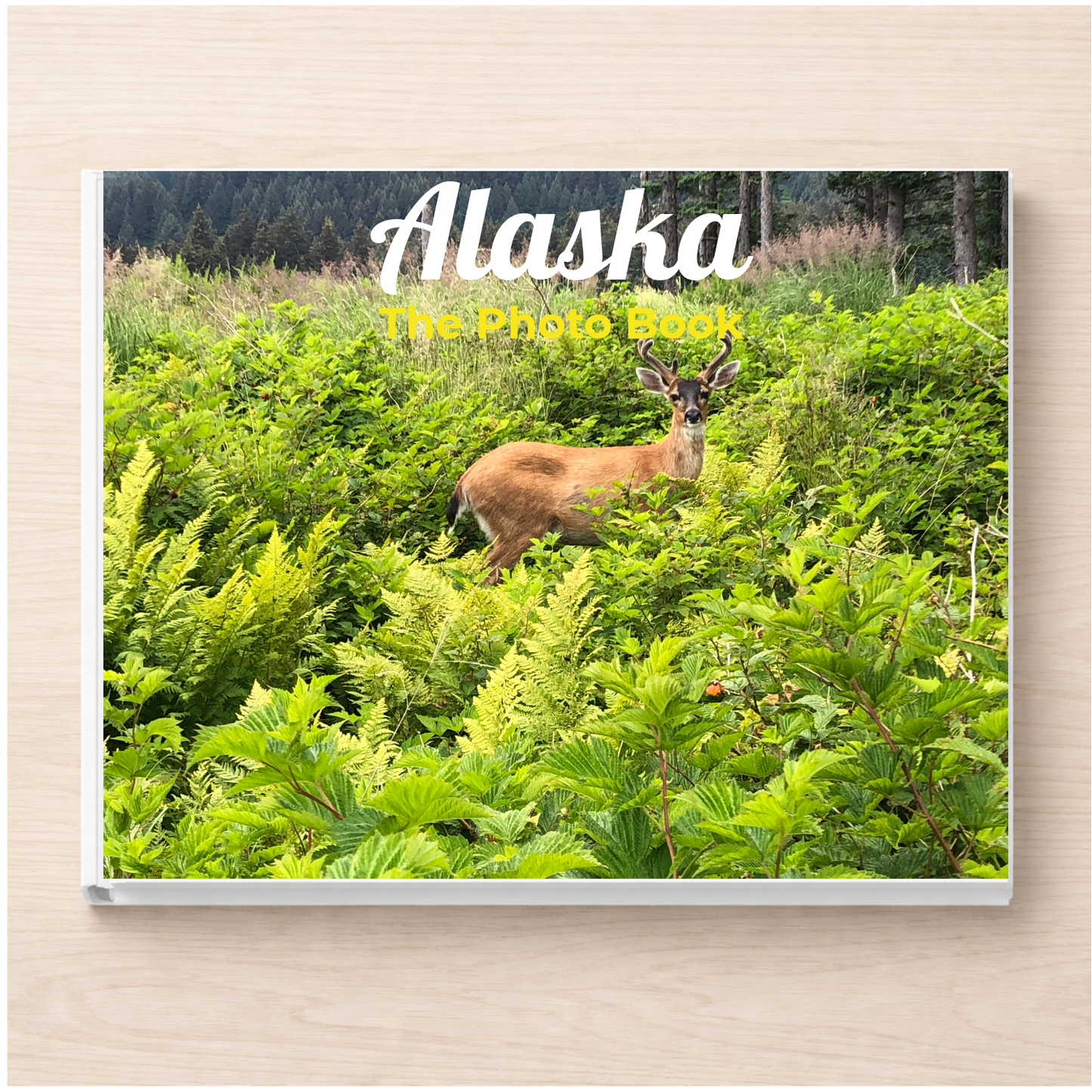 Alaska: The Photo Book