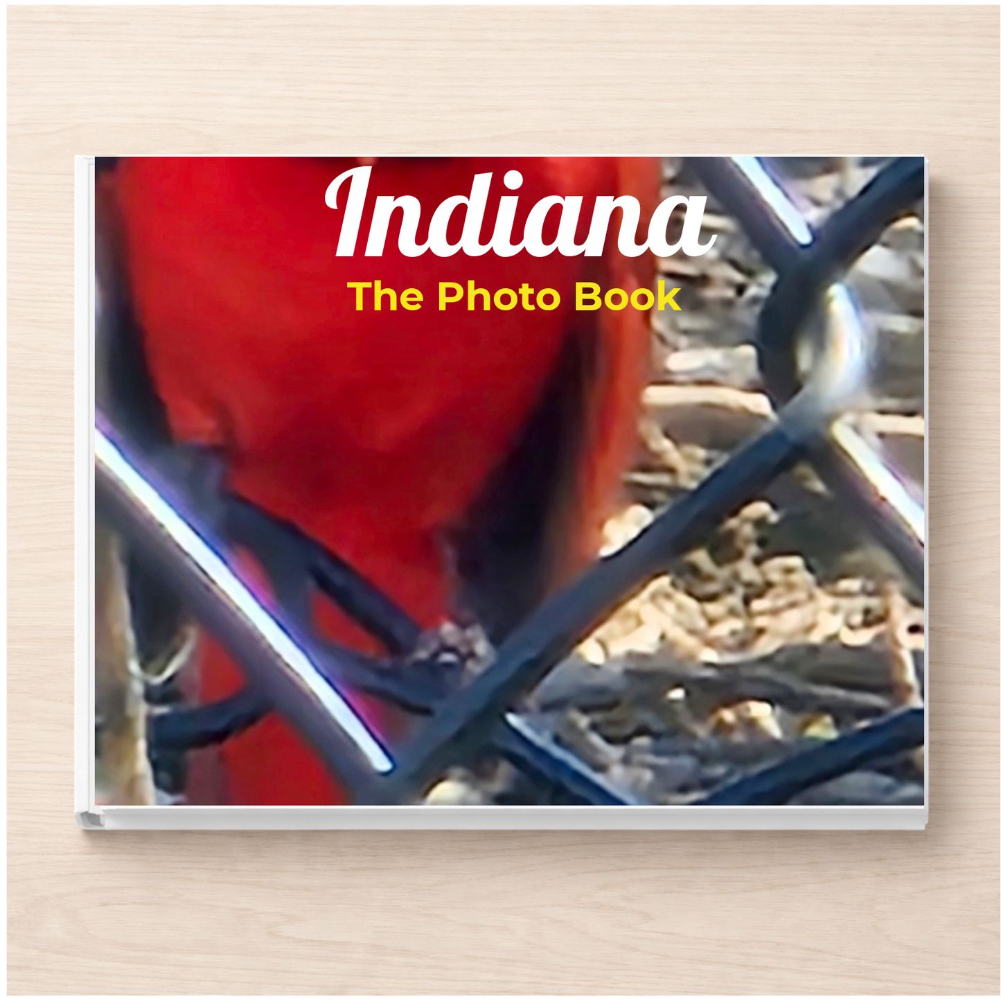Indiana: The Photo Book