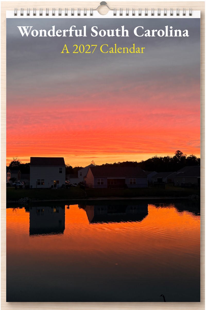 Wonderful South Carolina: A 2027 Calendar
