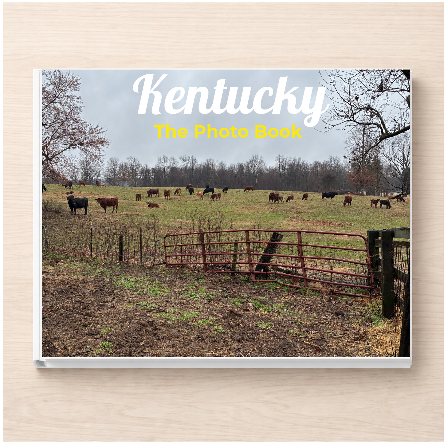 Kentucky: The Photo Book