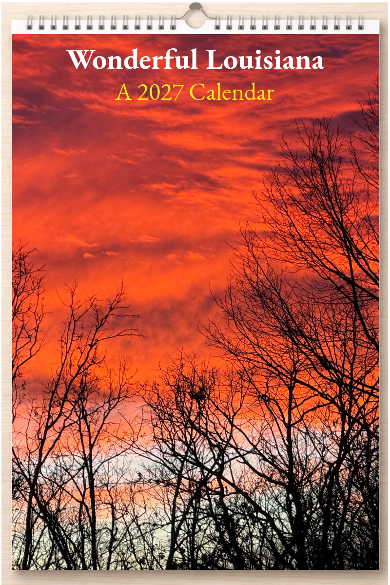 Wonderful Louisiana: A 2027 Calendar
