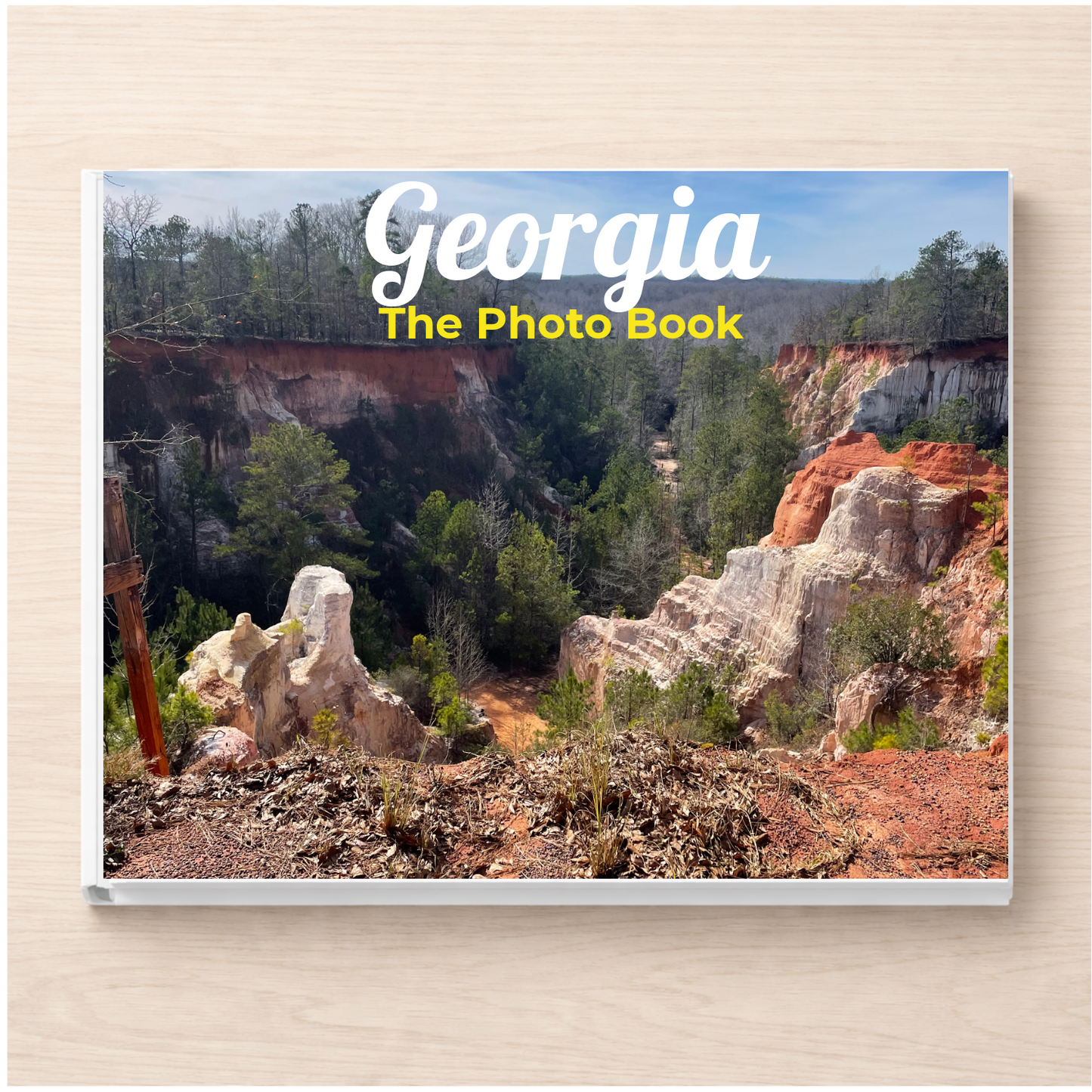 Georgia: The Photo Book