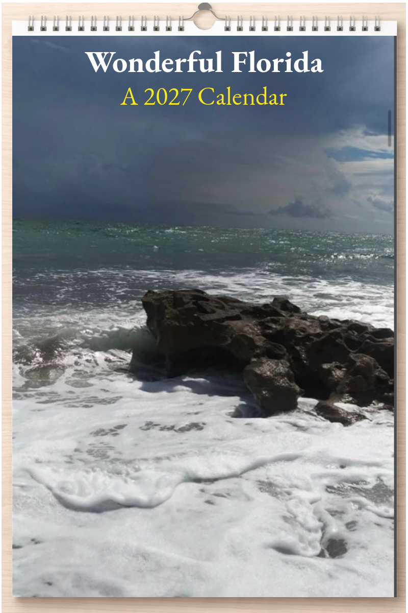 Wonderful Florida: A 2027 Calendar