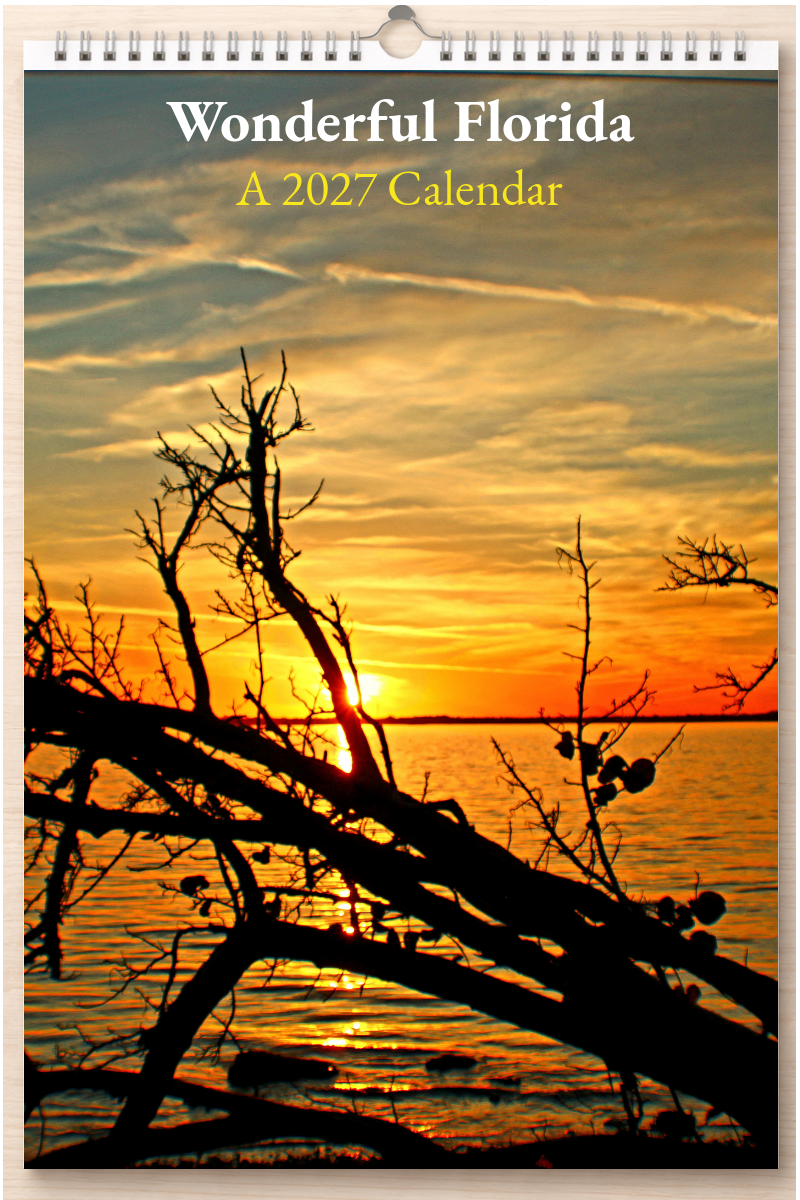 Wonderful Florida: A 2027 Calendar