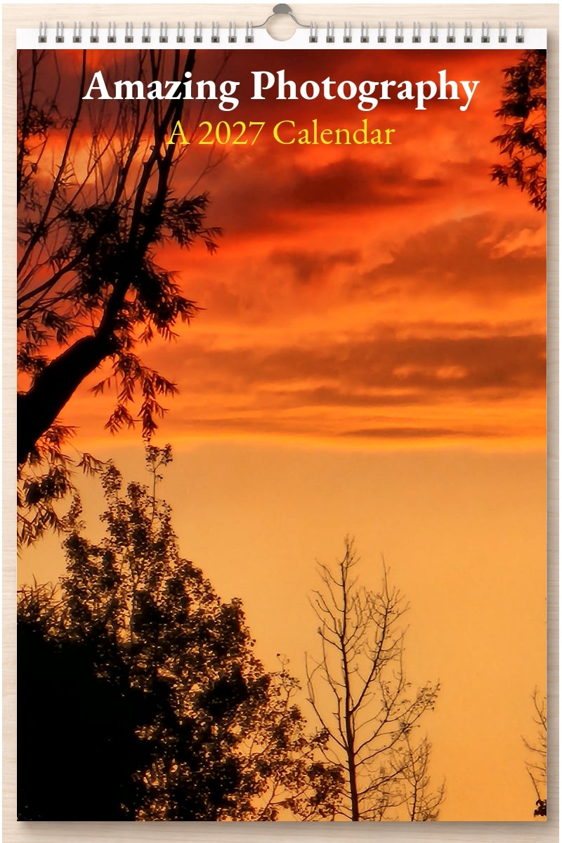 Amazing Photography: A 2027 Calendar