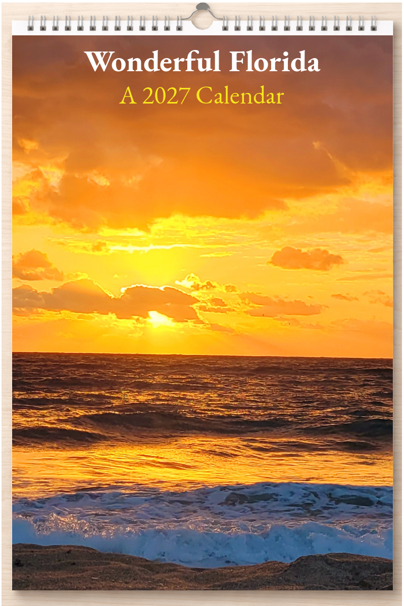 Wonderful Florida: A 2027 Calendar