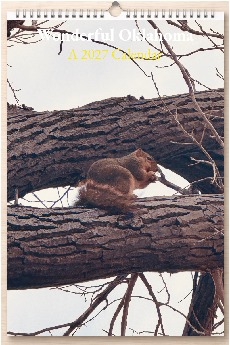 Wonderful Oklahoma: A 2027 Calendar