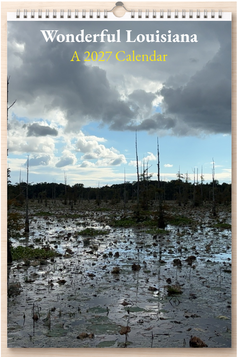 Wonderful Louisiana: A 2027 Calendar