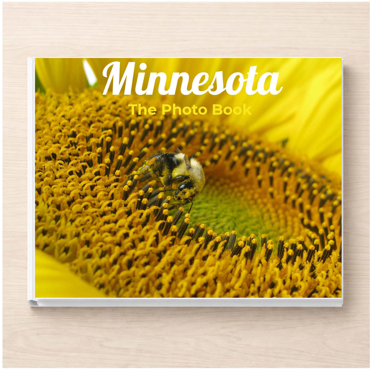Minnesota: The Photo Book