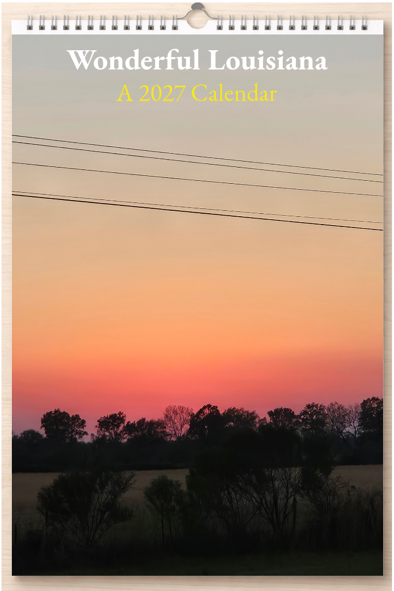Wonderful Louisiana: A 2027 Calendar