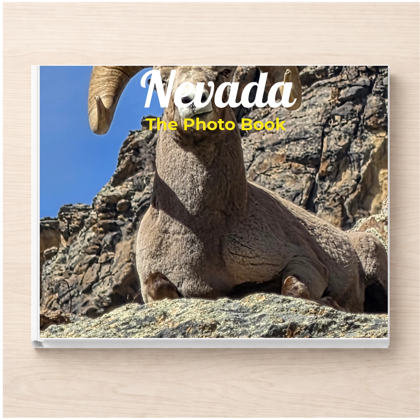 Nevada: The Photo Book