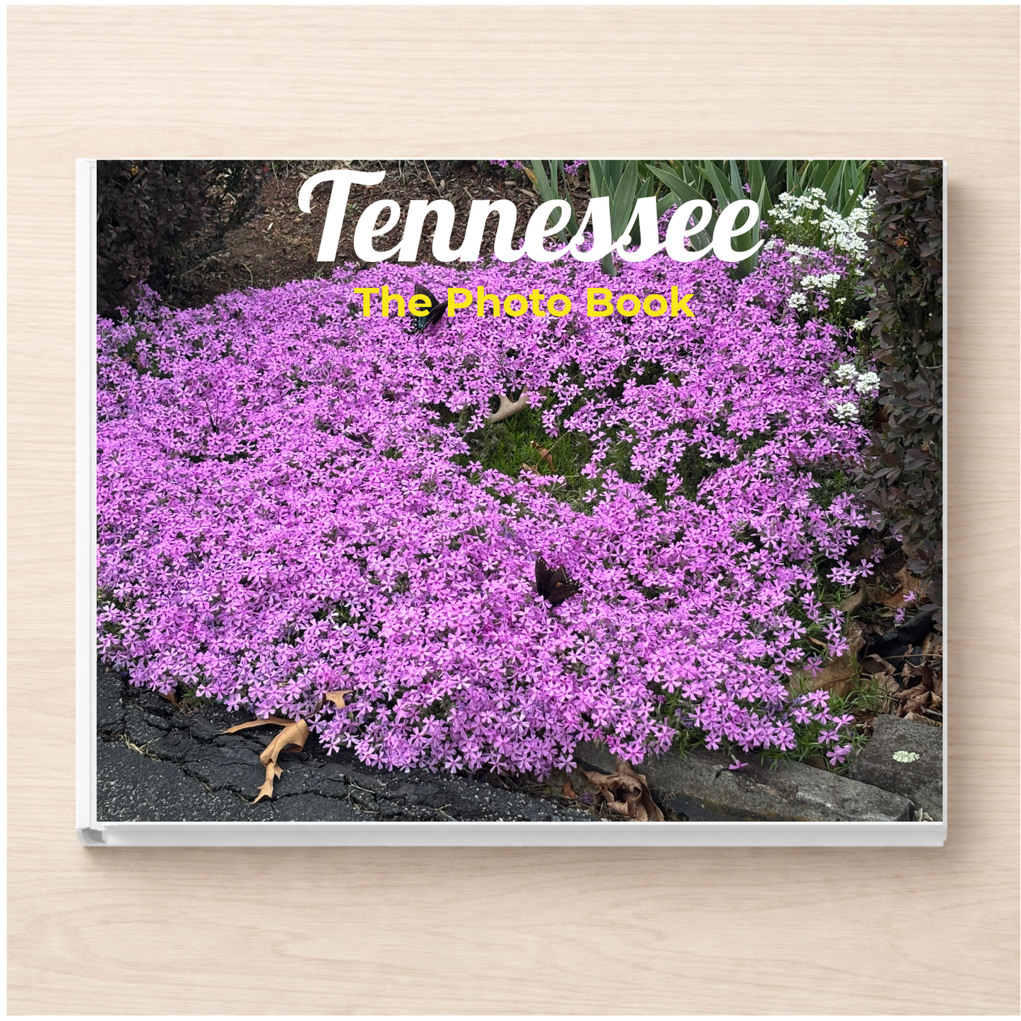 Tennessee: The Photo Book
