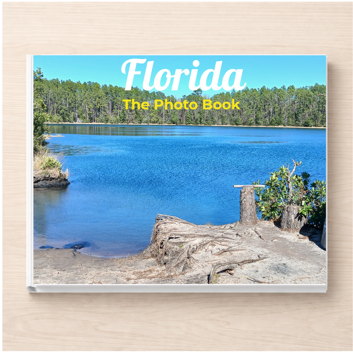 Florida: The Photo Book