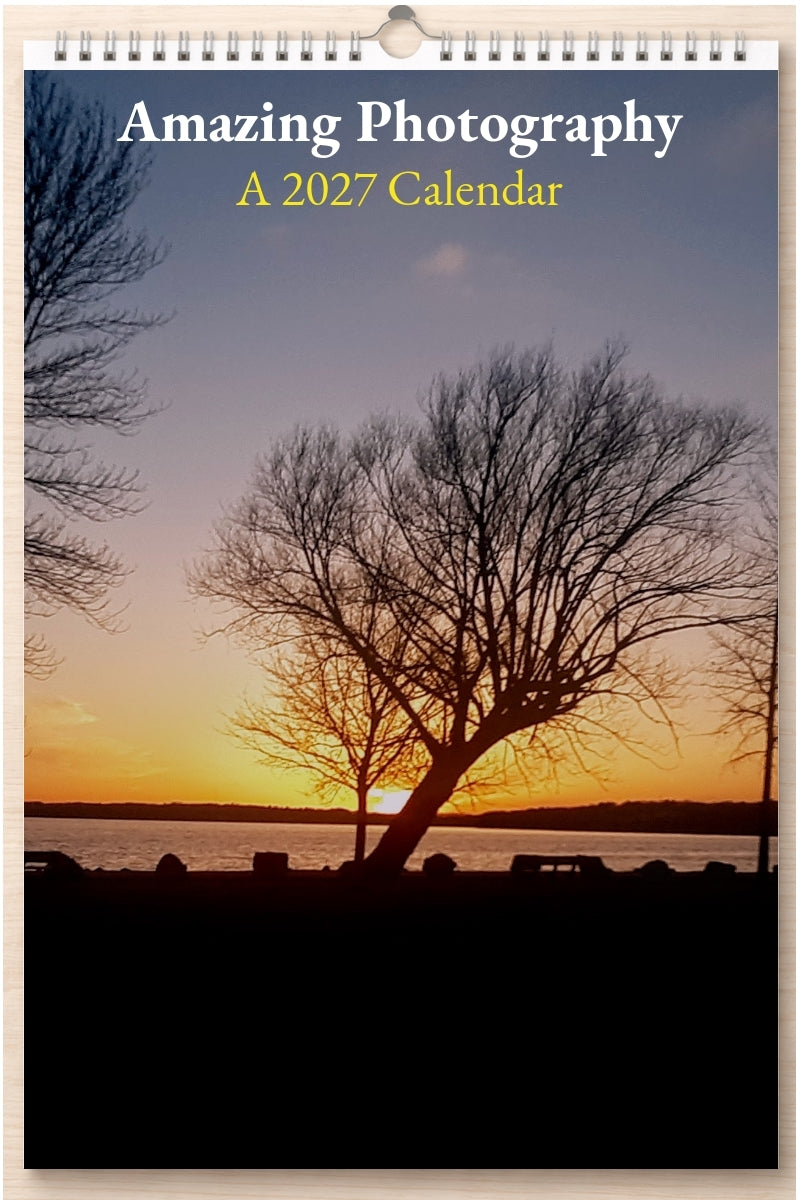 Amazing Photography: A 2027 Calendar