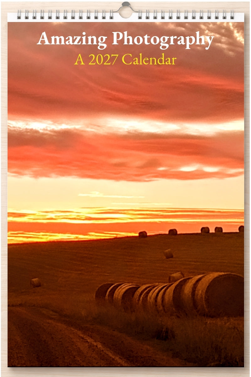 Amazing Photography: A 2027 Calendar