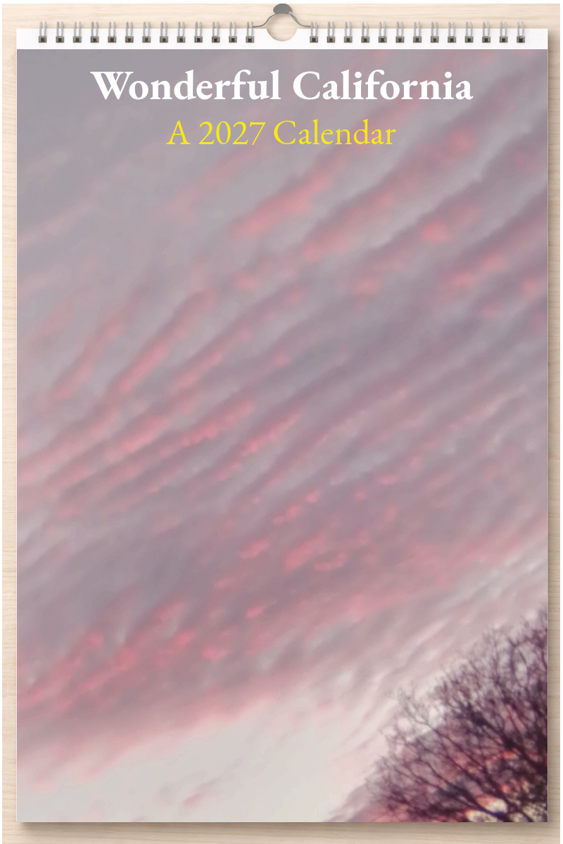 Wonderful California: A 2027 Calendar