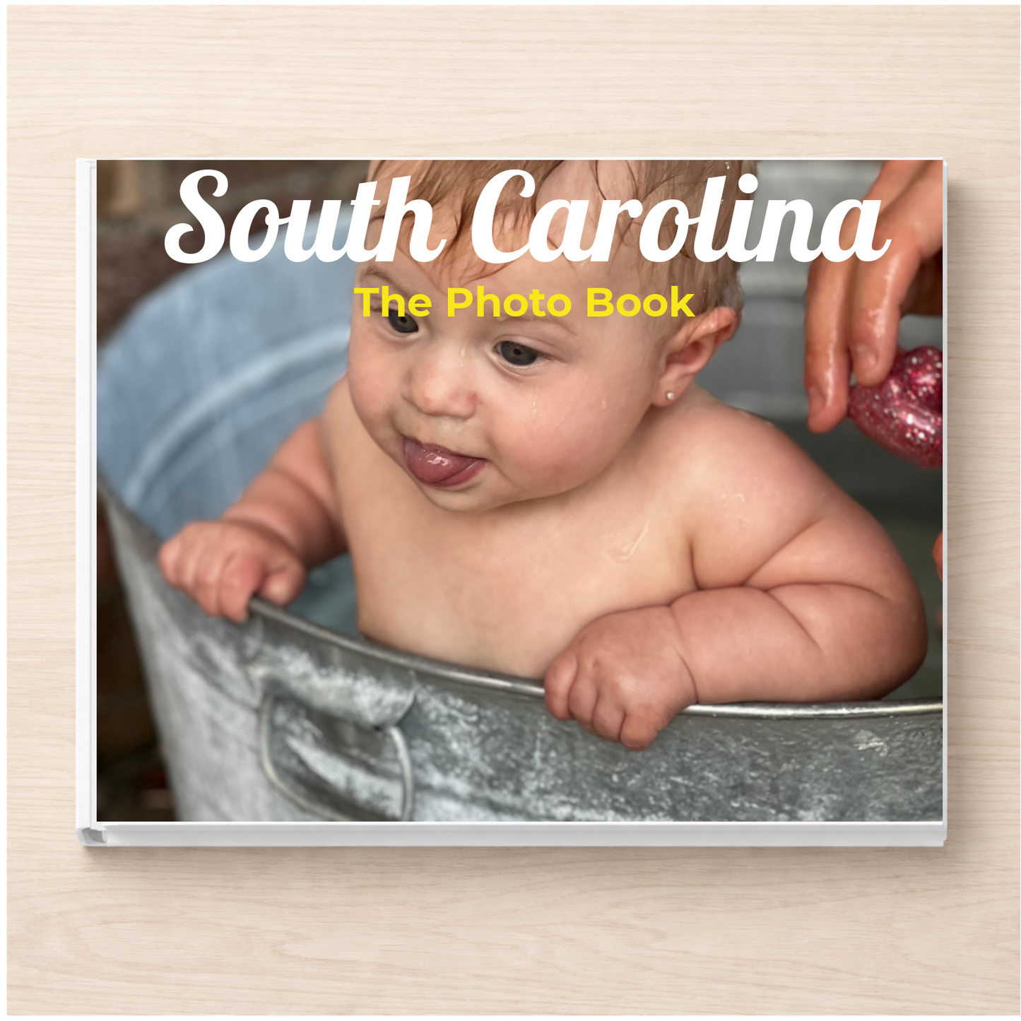 South Carolina: The Photo Book
