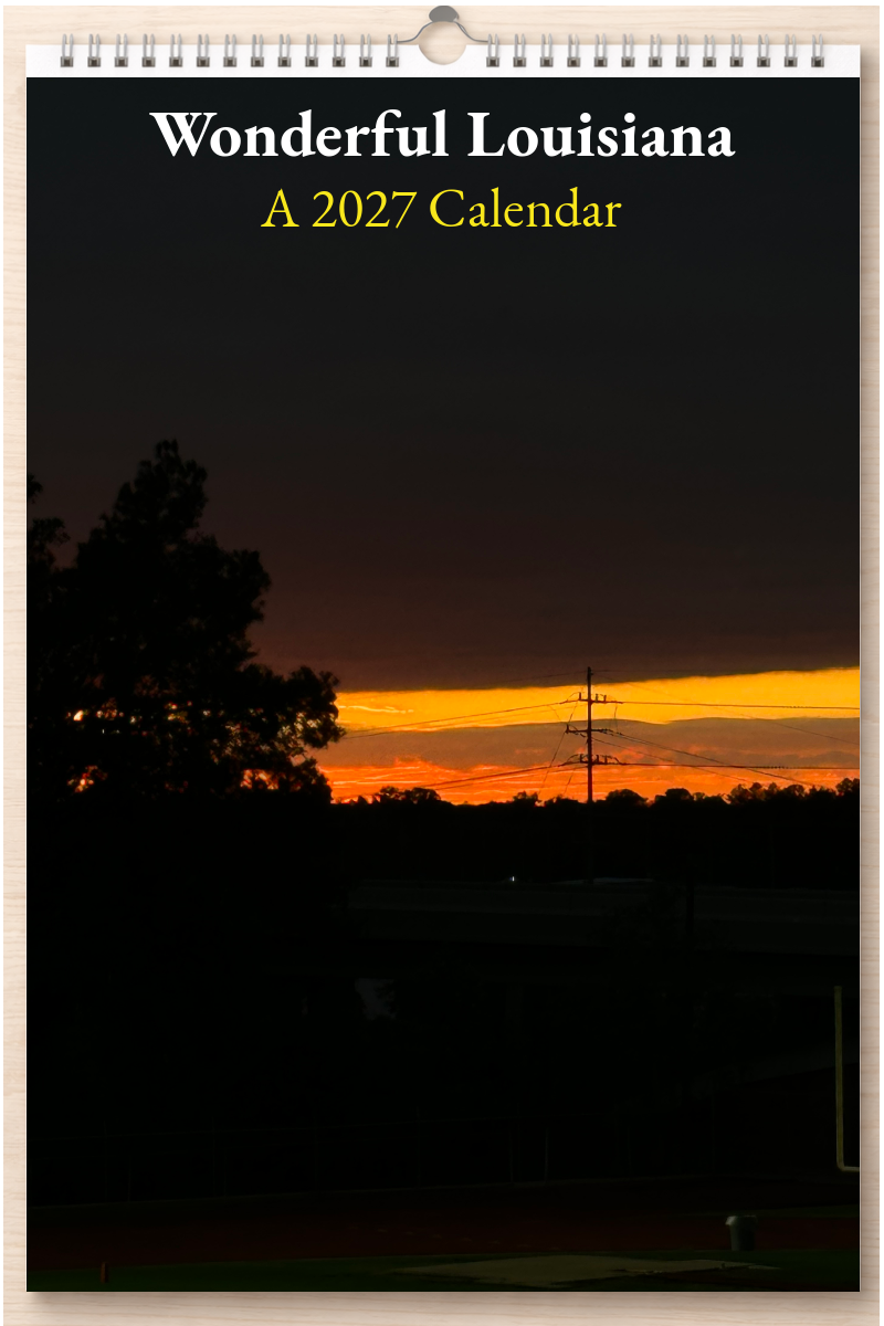 Wonderful Louisiana: A 2027 Calendar