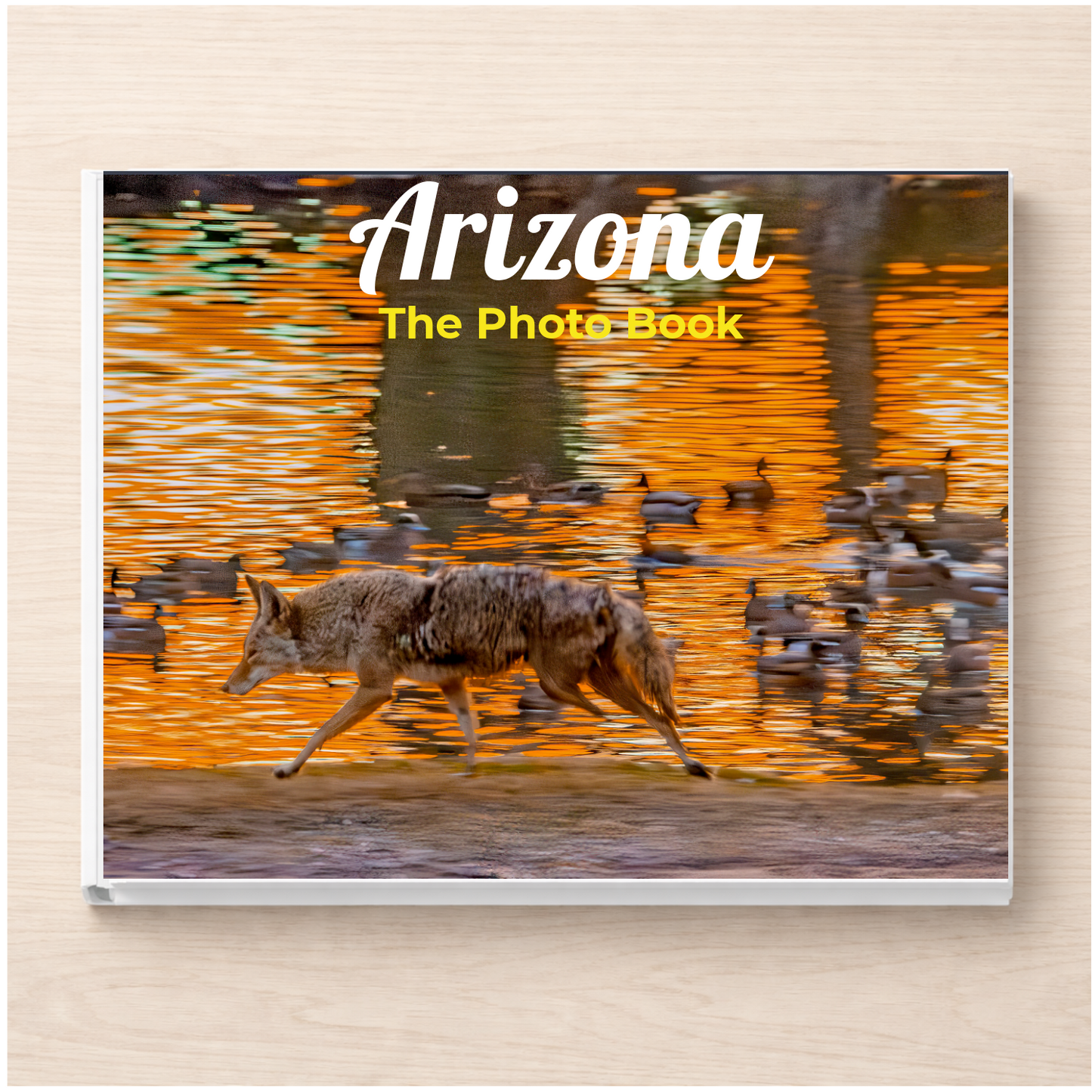 Arizona: The Photo Book