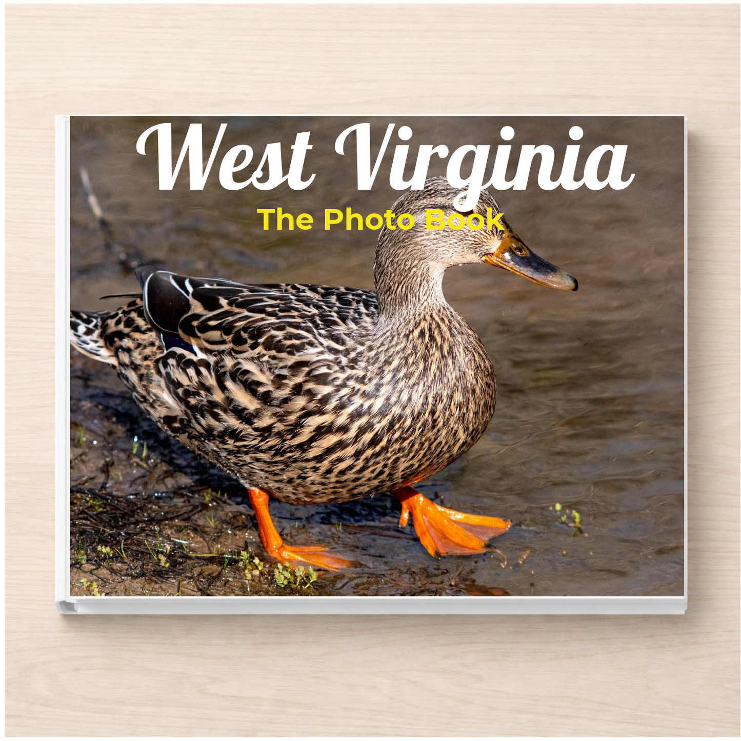West Virginia: The Photo Book