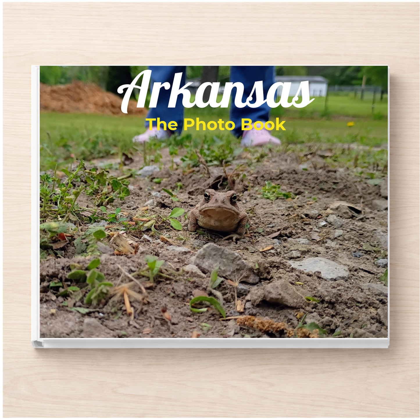Arkansas: The Photo Book