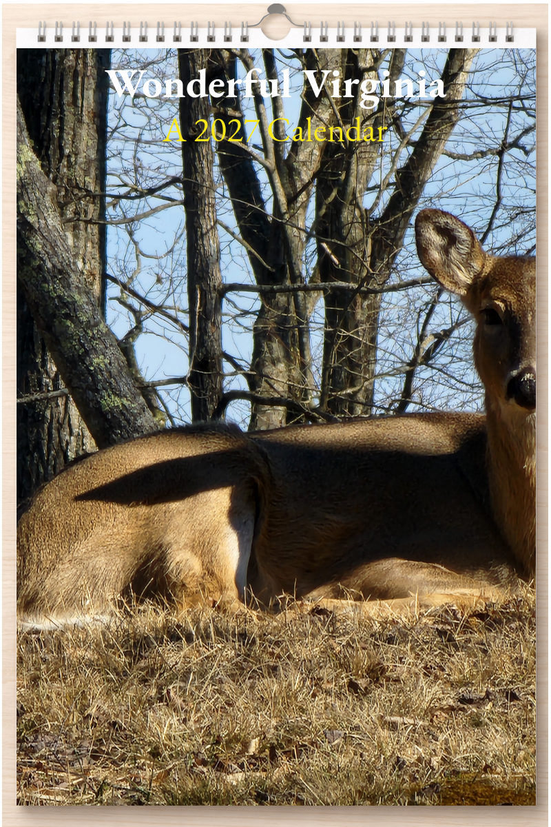 Wonderful Virginia: A 2027 Calendar