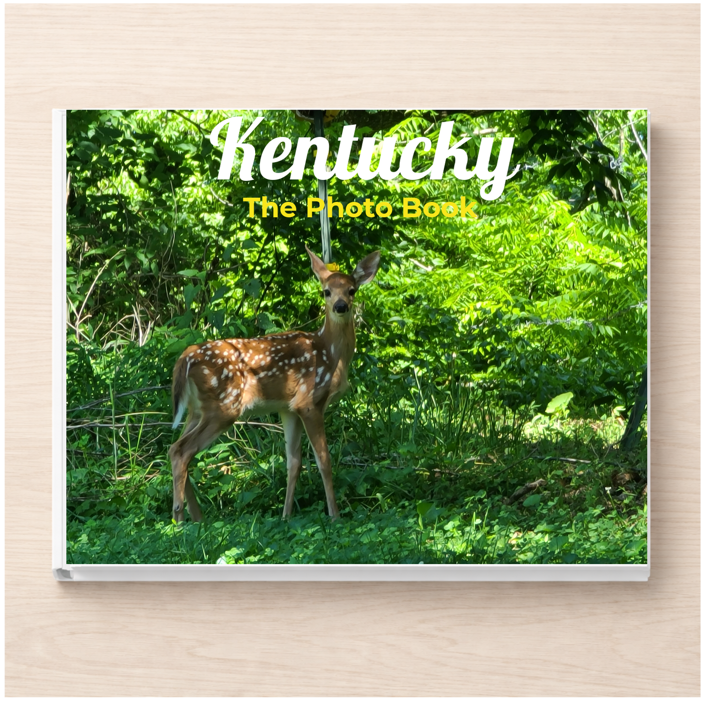 Kentucky: The Photo Book