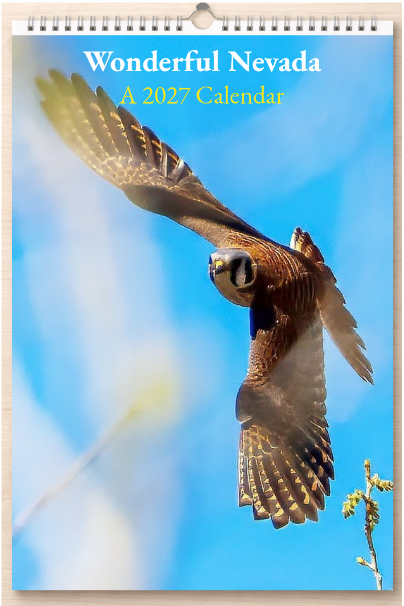 Wonderful Nevada: A 2027 Calendar