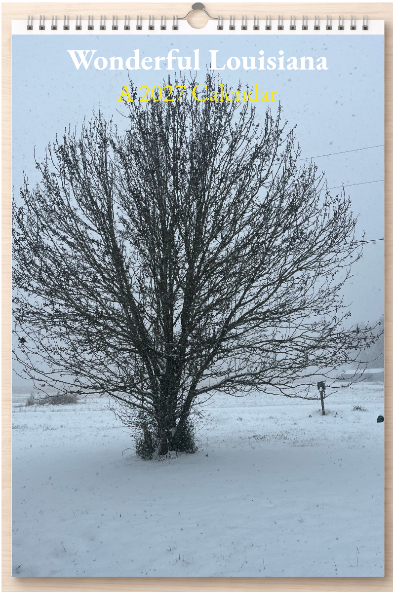 Wonderful Louisiana: A 2027 Calendar