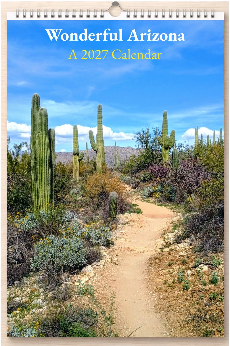 Wonderful Arizona: A 2027 Calendar