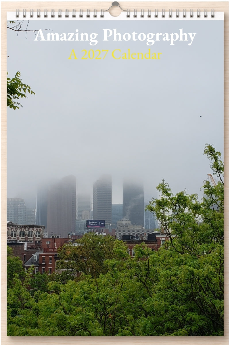 Amazing Photography: A 2027 Calendar