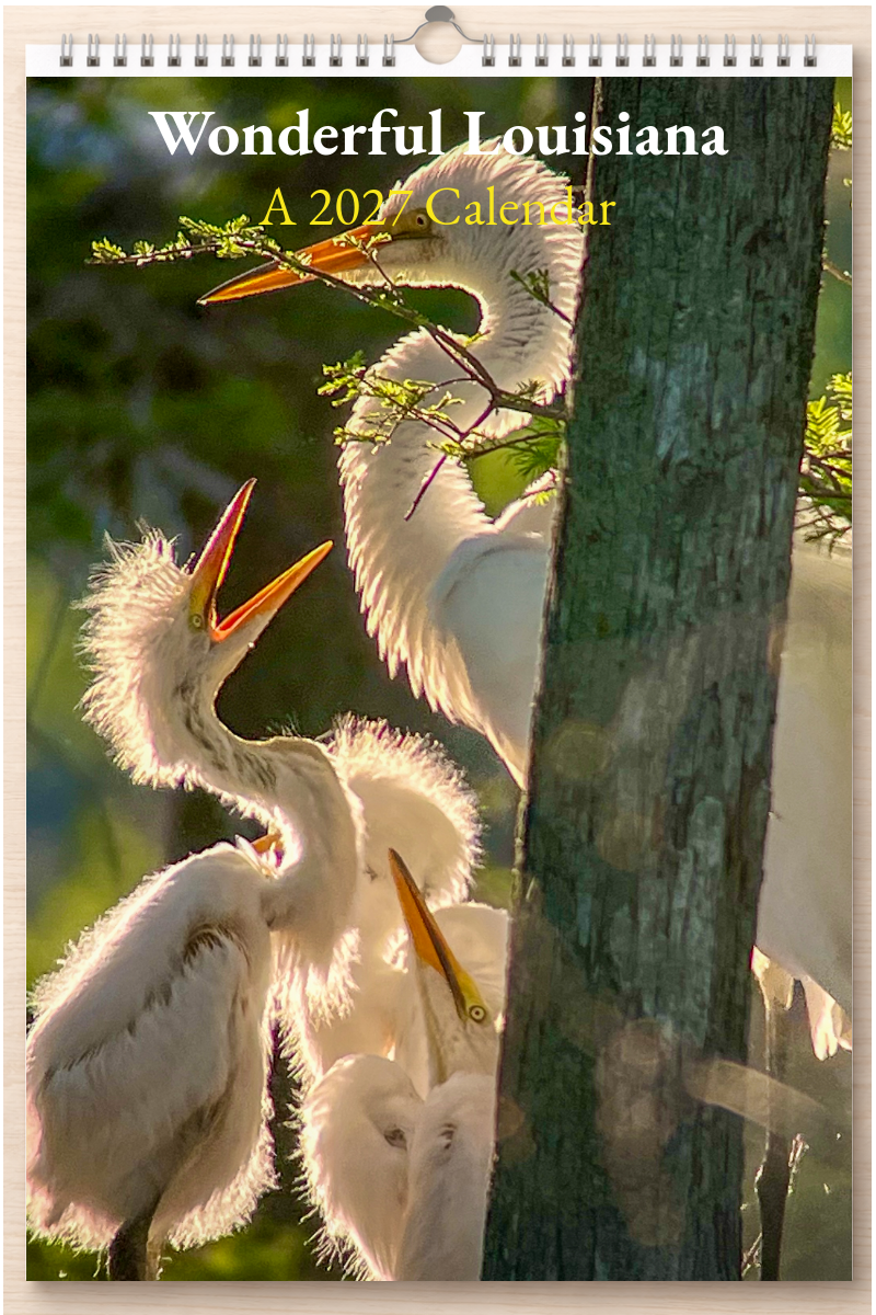 Wonderful Louisiana: A 2027 Calendar