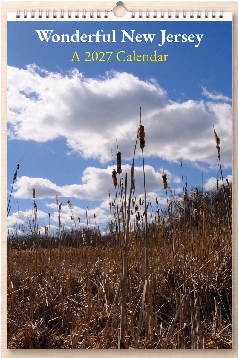 Wonderful New Jersey: A 2027 Calendar
