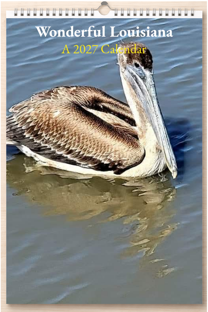 Wonderful Louisiana: A 2027 Calendar