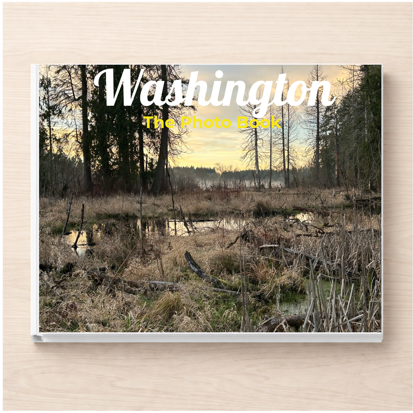 Washington: The Photo Book