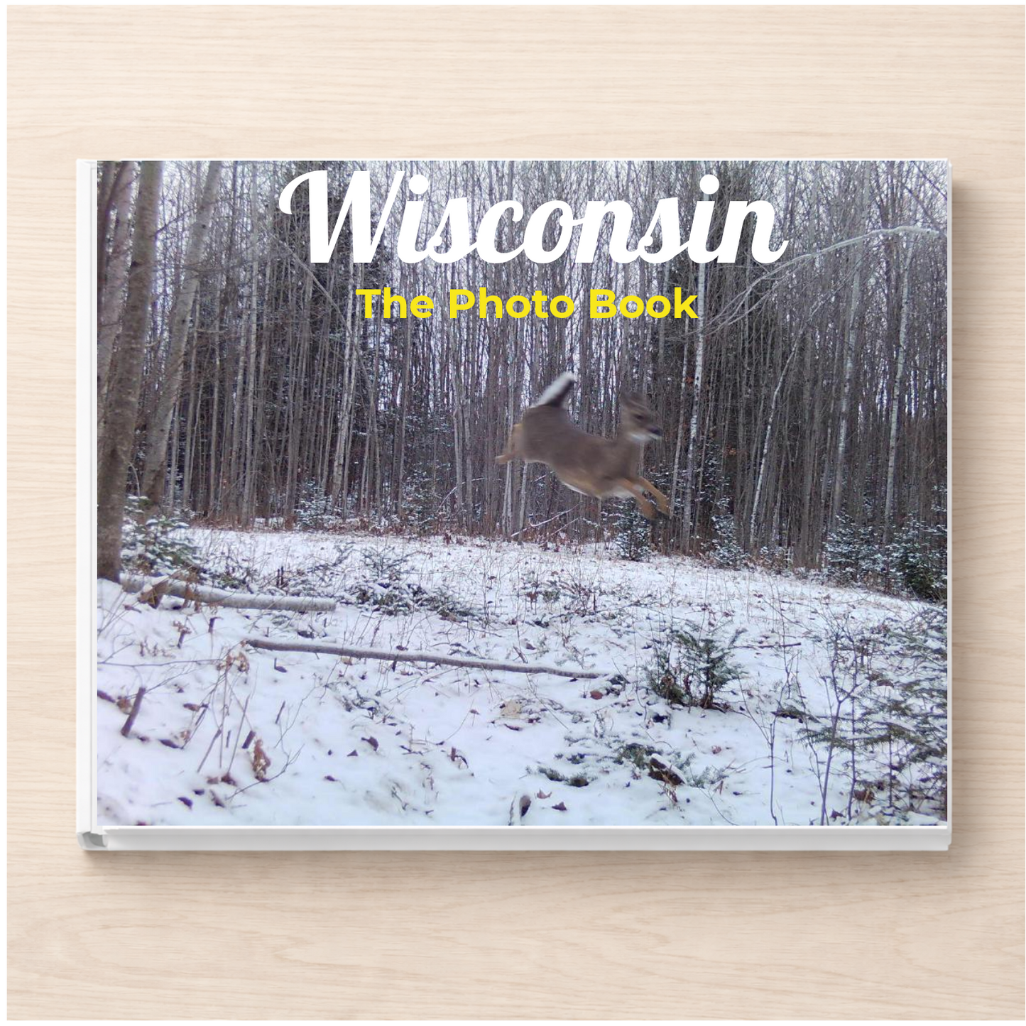 Wisconsin: The Photo Book