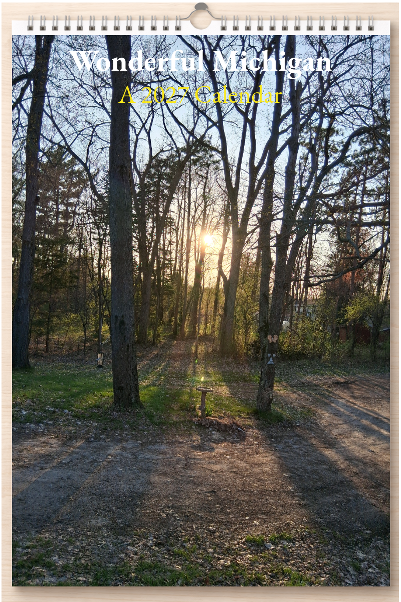 Wonderful Michigan: A 2027 Calendar