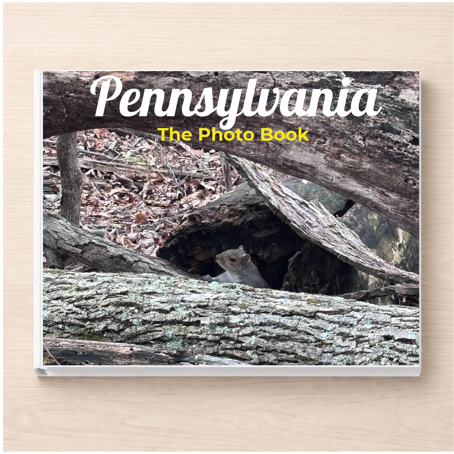 Pennsylvania: The Photo Book