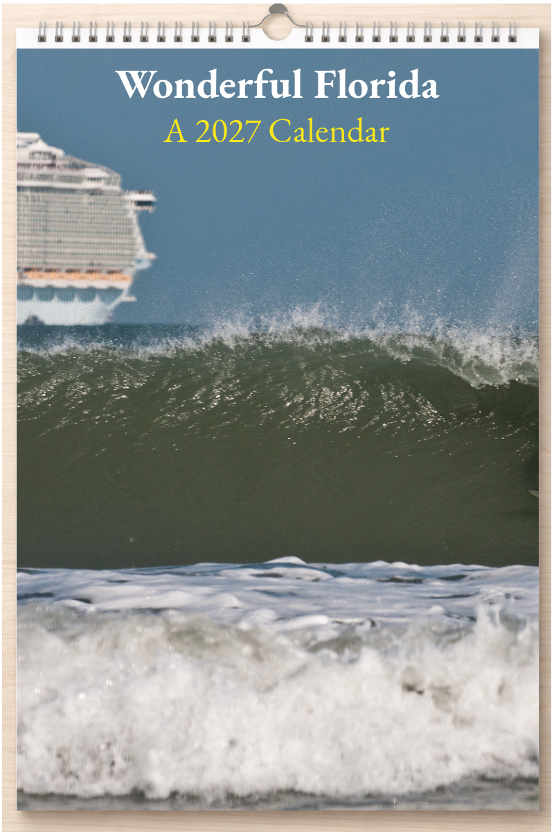 Wonderful Florida: A 2027 Calendar