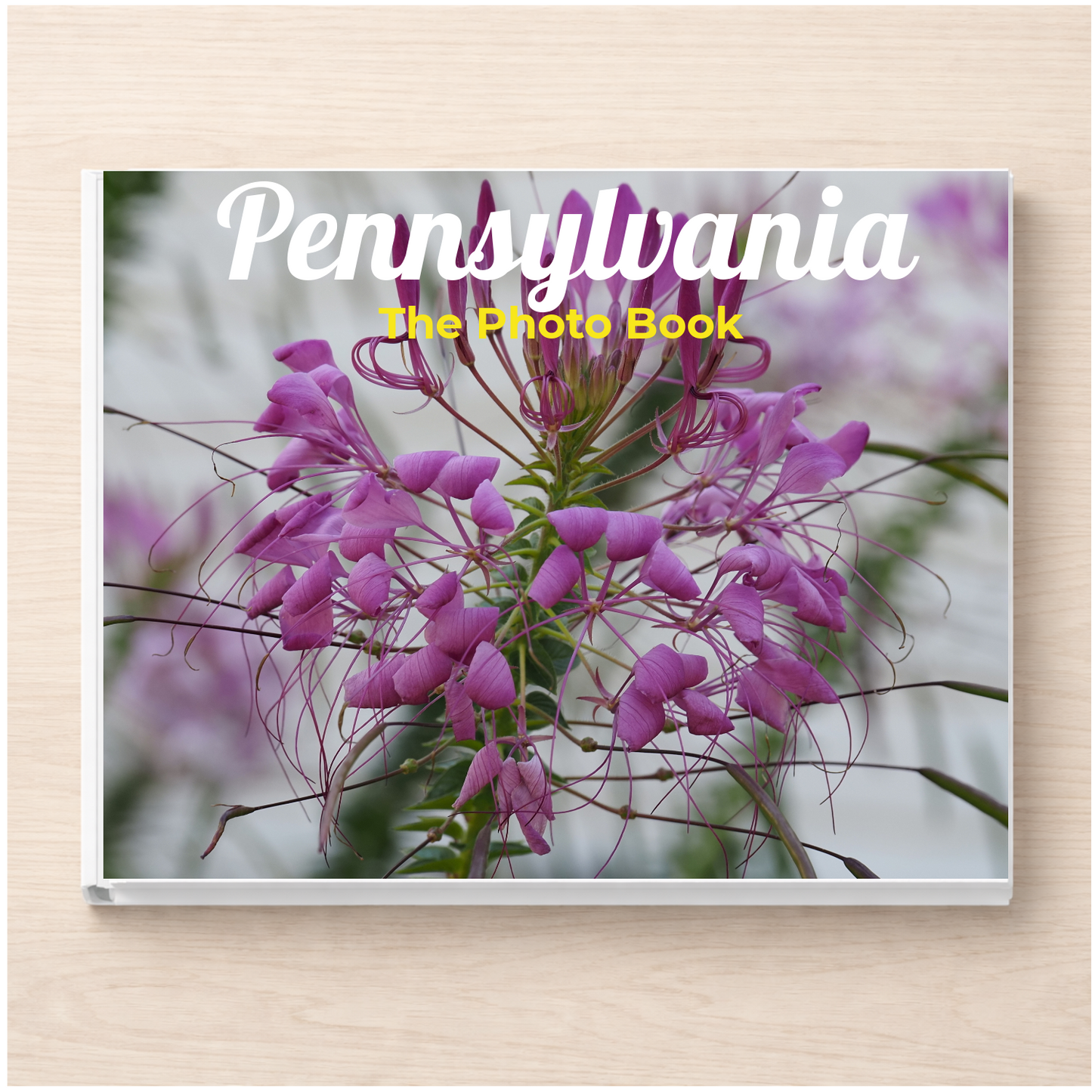 Pennsylvania: The Photo Book