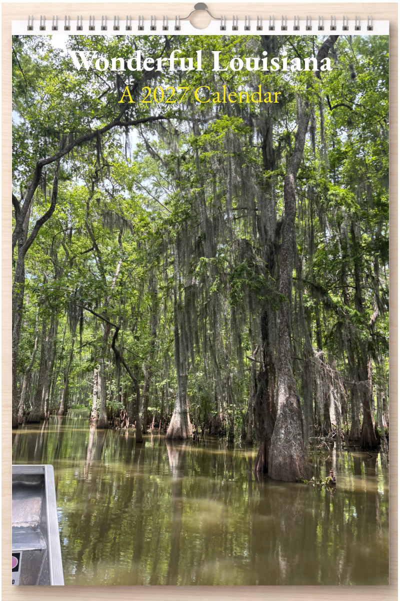 Wonderful Louisiana: A 2027 Calendar