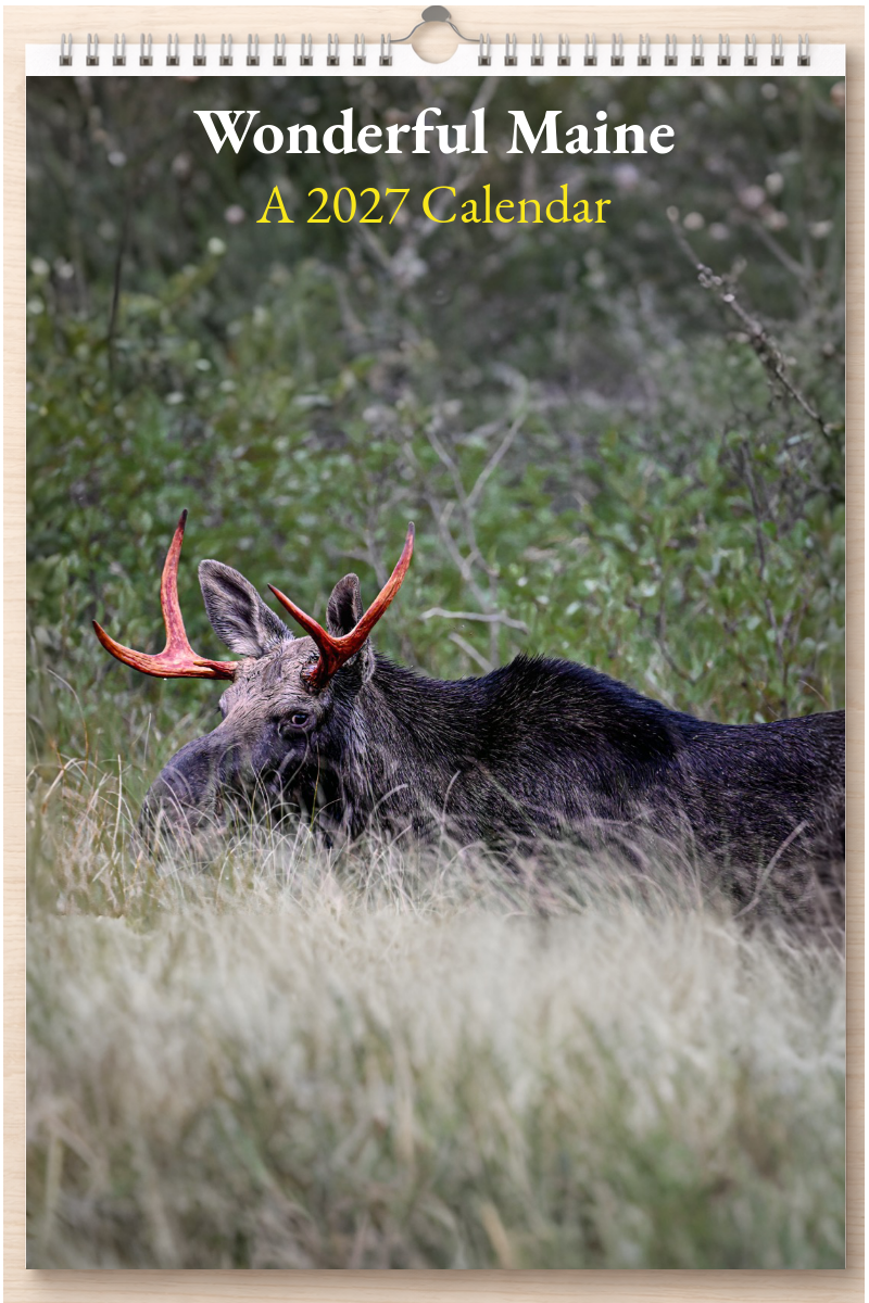 Wonderful Maine: A 2027 Calendar
