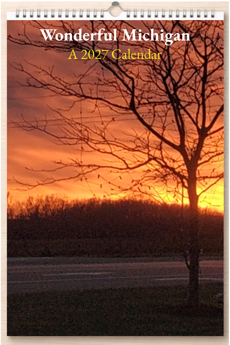 Wonderful Michigan: A 2027 Calendar