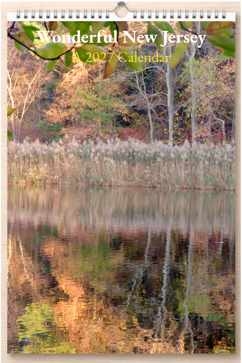 Wonderful New Jersey: A 2027 Calendar