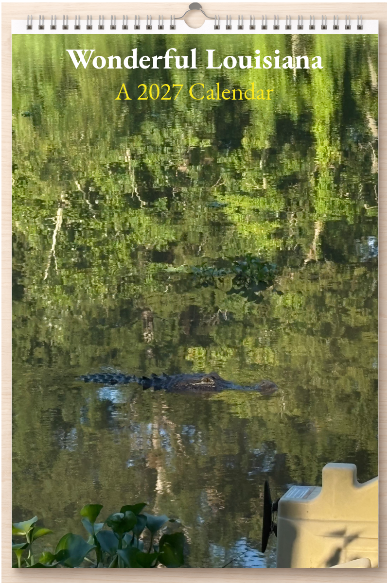 Wonderful Louisiana: A 2027 Calendar