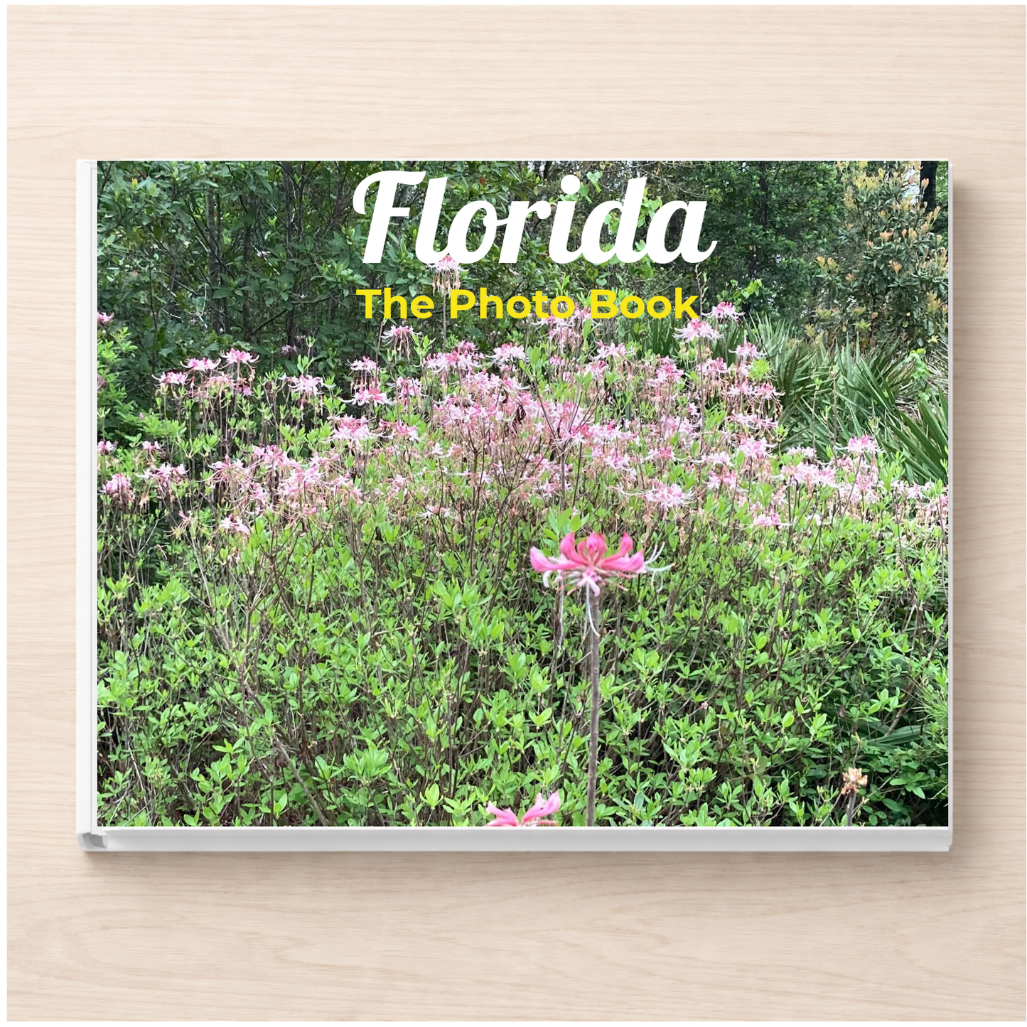 Florida: The Photo Book