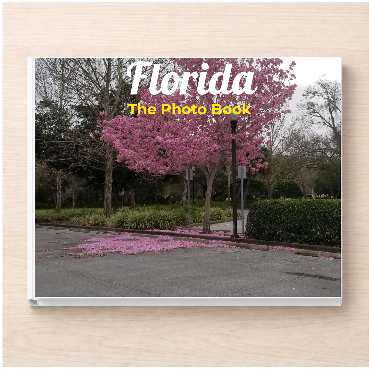 Florida: The Photo Book
