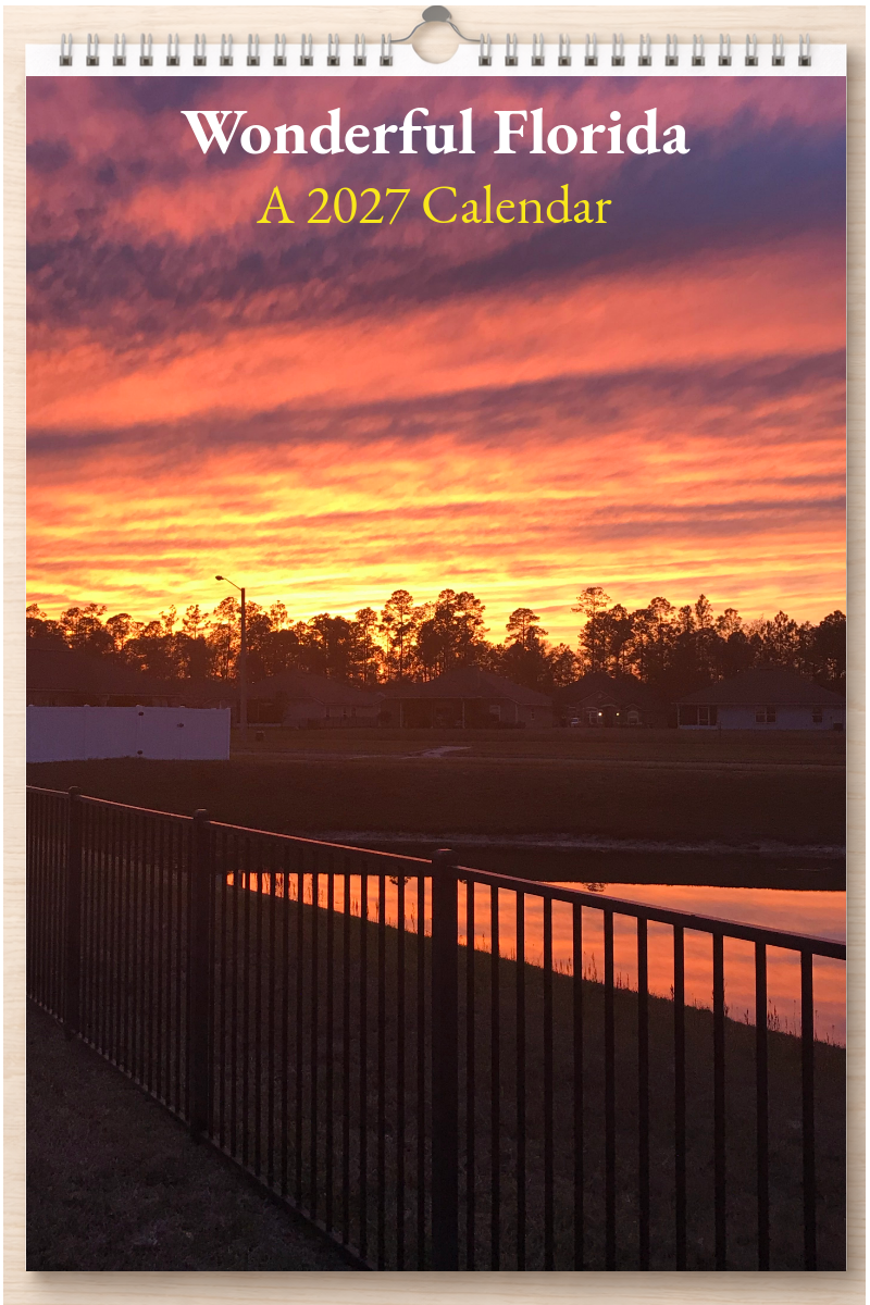 Wonderful Florida: A 2027 Calendar